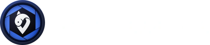 어신 CAMERA